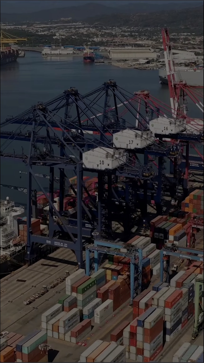 Video de fondo
